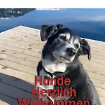 Erlebnis Post - Stadthotel Mit Eigenart Hotell