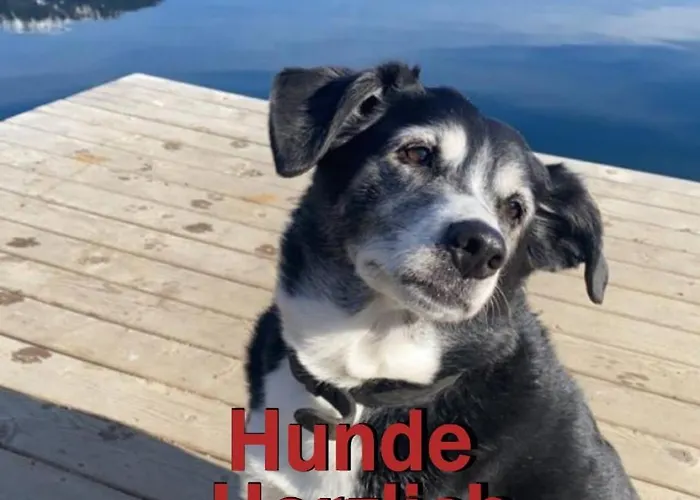 Erlebnis Post - Stadthotel Mit Eigenart Hotel